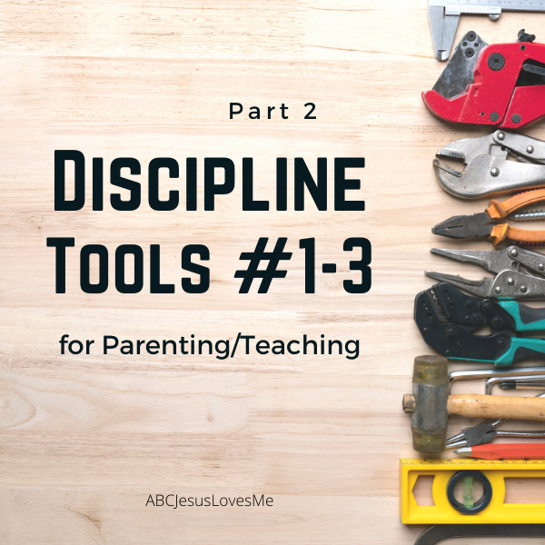 Biblical Discipline Part 2