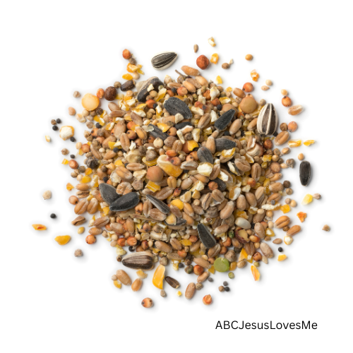 Bird Seed