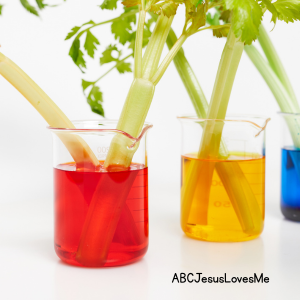 Celery Science