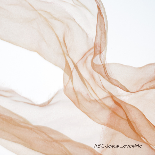 Brown Scarf