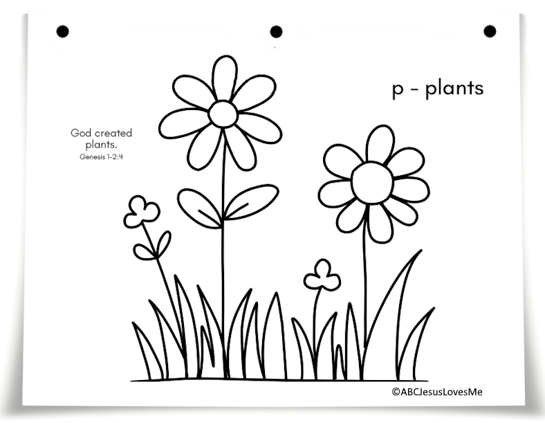 2 Year Workbook Objective Checklist