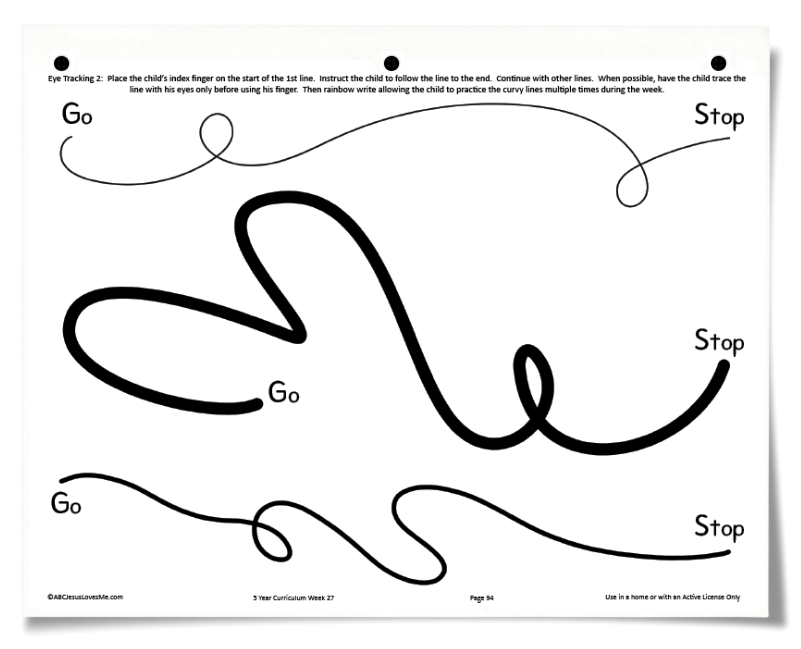 5 Year Workbook Example Worksheet